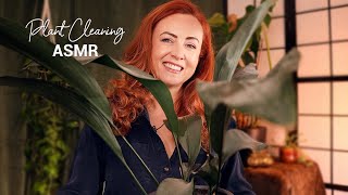 ASMR Plant Cleaning 🪴 Relaxing Pottering amp Chatting [upl. by Ahsla]