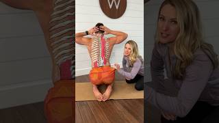 Low back and pelvis mobility exercise lateral pelvic tilts lowbackpain hipmobility [upl. by Jeniffer]