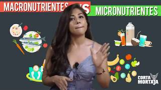 Macronutrientes y Micronutrientes  Aprendiendo a comer con Wendy [upl. by Emad91]