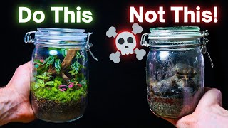 10 ESSENTIAL Terrarium Tips For Beginners [upl. by Amehsat995]