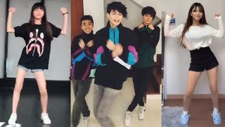 BABY SHARK  Best Tik Tok Dance Challenges [upl. by Janene]