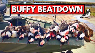 Bufflehead Beatdown on the Georgia Coast Tybee Island [upl. by Diehl]