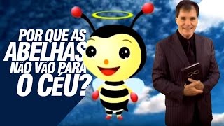 Por que as abelhas não vão para o céu [upl. by Nabla]