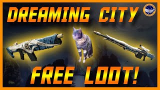 Destiny 2  A Small Gift  All 9 Cat Statues In The Dreaming City [upl. by Ysnat]