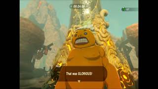 Gorae Torrs Blessing  The Legend of Zelda Breath of the Wild  Episode 257  First Playthrough [upl. by Nylekoorb]