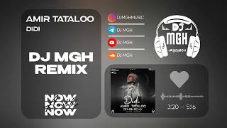 Amir Tataloo  Didi DJ MGH Remix [upl. by Gent631]