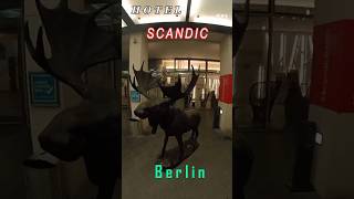 SCANDIC BERLIN POTSDAMER PLATZ  hotelberlintravel путешествияотель [upl. by Lemaj]