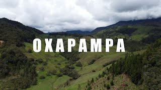 Oxapampa Perú 🇵🇪 In 4K  Drone Shots For Oxapampa 4K ULTRA HD [upl. by Niamart882]