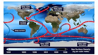 How does our Climate System Evolve as the AMOC Shuts Down [upl. by Acisej]