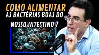 COMO ALIMENTAR AS BACTÉRIAS BOAS DO INTESTINO [upl. by Carolle]