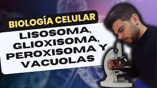 BIOLOGÍA CELULAR LISOSOMA PEROXISOMA GLIOXISOMA y VACUOLA [upl. by Aysahc603]