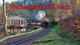 Herbsttraum im Harz Steinerne Renne  Harzer Schmalspurbahnen  German Railways  Train Video 4K [upl. by Awhsoj]