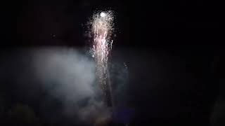 Insane Backyard Fireworks Finale 1000 salutes [upl. by Nitz]