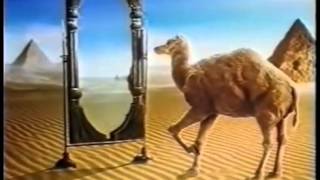 Camel Zigarettenwerbung [upl. by Aynuat]