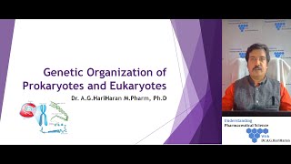 Genetic organization of Prokaryotes and Eukaryotes [upl. by Thay875]