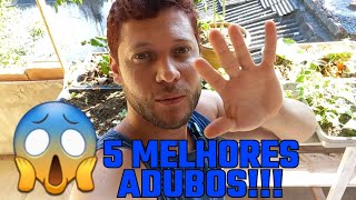 5 melhores adubos orgânicos para plantar [upl. by Airamasor]