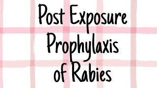 Post exposure prophylaxis for Rabies  CNS  Microbiology [upl. by Nnad]