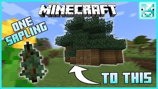 Minecraft Building a House With ONE SAPLING Tutorial [upl. by Dinse]