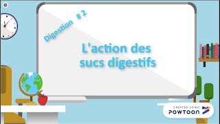 Digestion  2 Action des sucs digestifs [upl. by Ellehcar]