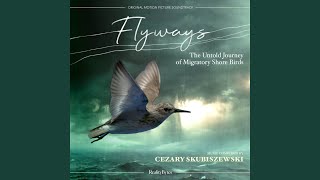 Flyways [upl. by Reedy]