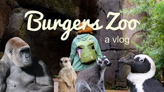 Burgers Zoo  Arnhem  Netherlands  Vlog [upl. by Eux277]