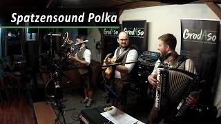 Spatzensound Polka  Trio GrodAso [upl. by Vitale]