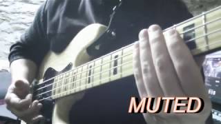 Slap Bass tutorial 4  Octaves [upl. by Ortrude]