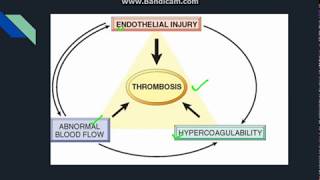 Thrombosis [upl. by Wassyngton]