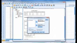 KruskalWallis H Test in SPSS [upl. by Eelirem]