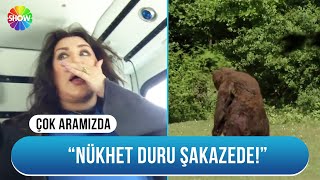 Nükhet Duru ayı saldırısına uğruyor  Demet Akbağ İle Çok Aramızda [upl. by Nelg]