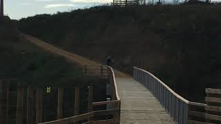 Manawatu River Track [upl. by Nemzaj]