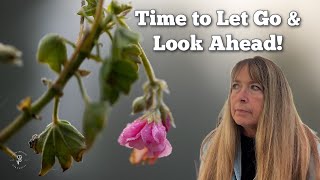 Before and After the First Freeze in the Gardens [upl. by Lenox968]