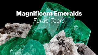 Wilensky Exquisite Minerals  Magnificent Emeralds Furas Tears [upl. by Esened]