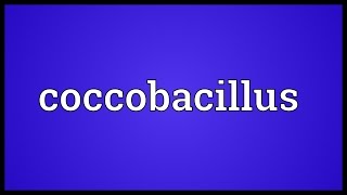 Coccobacillus Meaning [upl. by Yael]