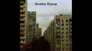 Tristitia Nigrum  Useless 2024 [upl. by Savick]