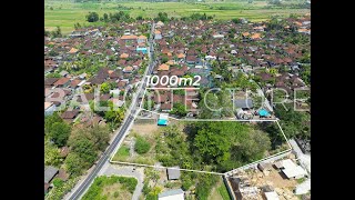 View From 10Meters For 1000m² Land in Prime Tanah Lot Location Close to Popular Tourist Spots [upl. by Gisser97]