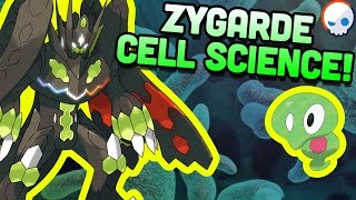 Pokemon Science Zygardes Cells  Gnoggin [upl. by Rollet167]