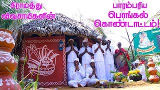 PONGAL CELEBRATION in Village by farmers  We celebrate Our Traditional Festival in Our Village [upl. by Odrick210]