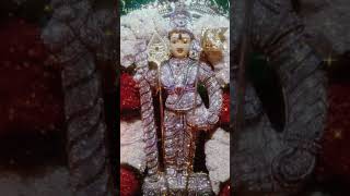 Murugan Song  tamil Devotional songs  samy Song  🎵 Song [upl. by Boynton851]