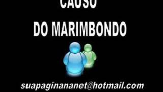 Causo do marimbondo  Geraldinho [upl. by Yadsnil]