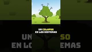 El Calentamiento Global está Debilitando la Capacidad de los Árboles para Absorber CO2 [upl. by Villiers]