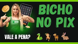 Bicho no Pix vale a pena Review [upl. by Selij147]