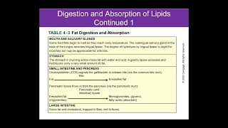 LipidsDigestion and Absorption Chapter 4 [upl. by Sihtnyc473]