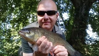 Match Trotting Wandle River Fishing Session [upl. by Alemak]