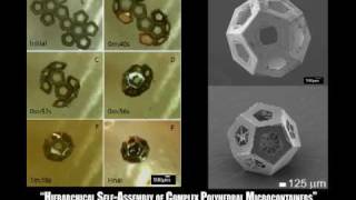 SelfAssembly of Lithographically Patterned 3D MicroNanostructures [upl. by Solhcin]