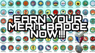 HOW TO EARN MERIT BADGES [upl. by Vena]