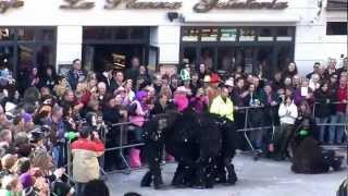 Herrenberg Fasnet 2011mp4 [upl. by Antonina454]