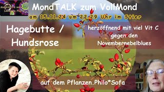 MondTalk zum Vollmond  Im Gespräch mit Nana Mara auf dem PflanzenPhiloSofa  Hagebutte Hundsrose [upl. by Swanson993]