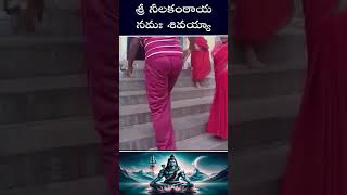 శ్రీ నీలకంఠాయ నమః శివయ్యా  Lord Shiva Songs  Karthika Masam Songs  Monday Special Songs Ravi TV [upl. by Norabel240]