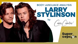 Larry Stylinson  Body Language Analysis  Neurolenguage [upl. by Alesandrini109]